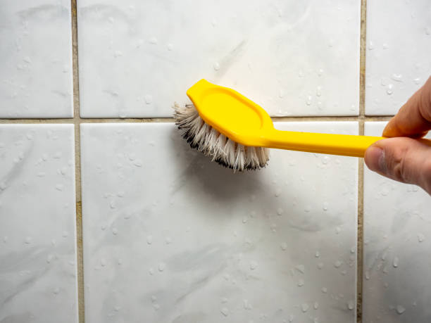 Trusted Bluffton, IN Mold Removal Experts