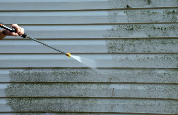 Best Commercial Mold Removal  in Bluffton, IN