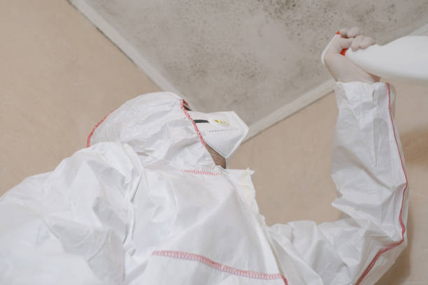 Best Attic Mold Removal  in Bluffton, IN